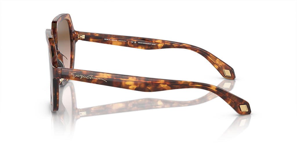 Giorgio Armani AR8193U XL (55 - 17) with Brown lenses and Brown