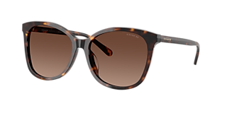Coach HC7134 C7996 XL (57 - 17) with Brown lenses and Gold