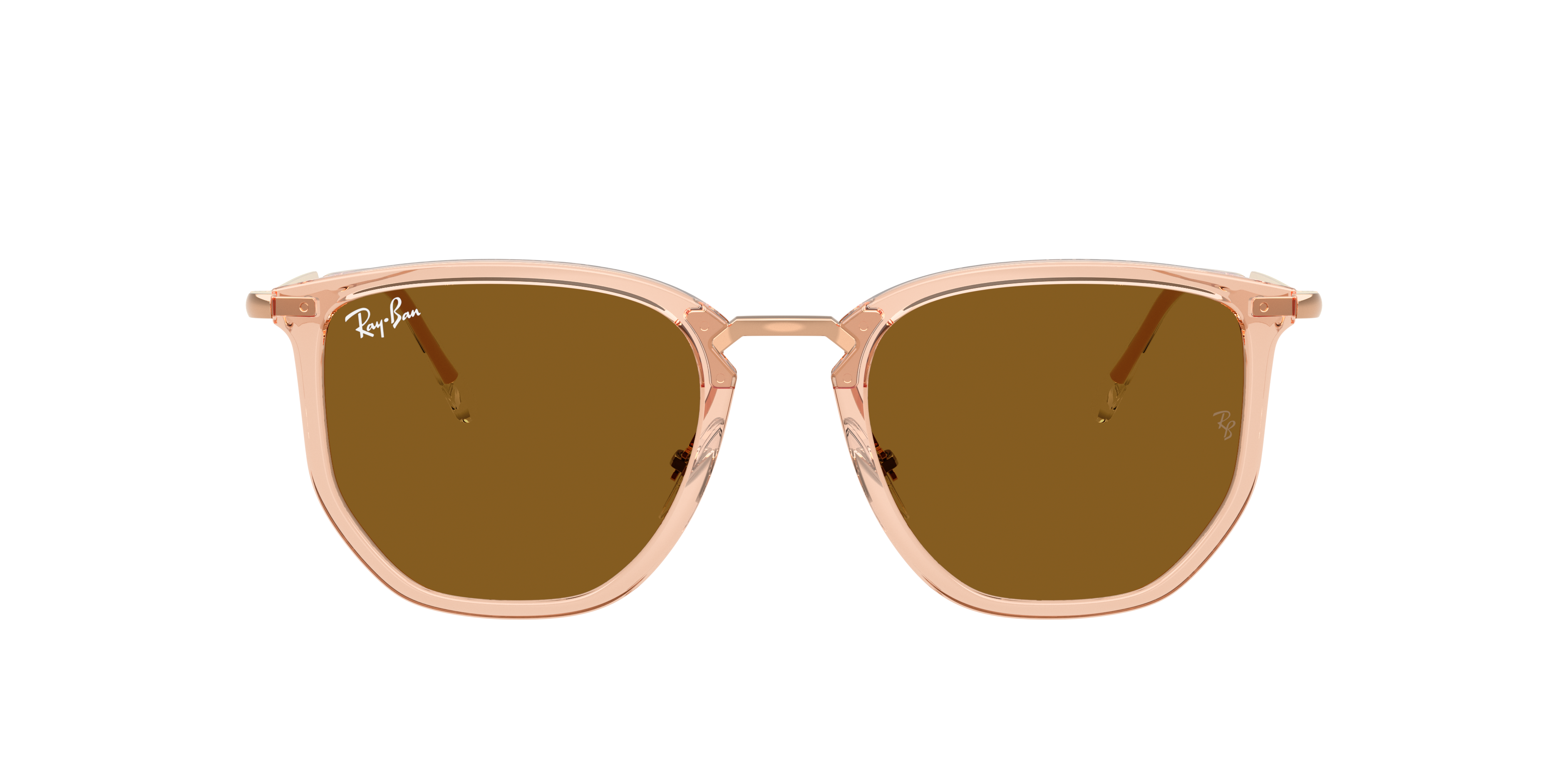 Ray Ban Ray In Brown