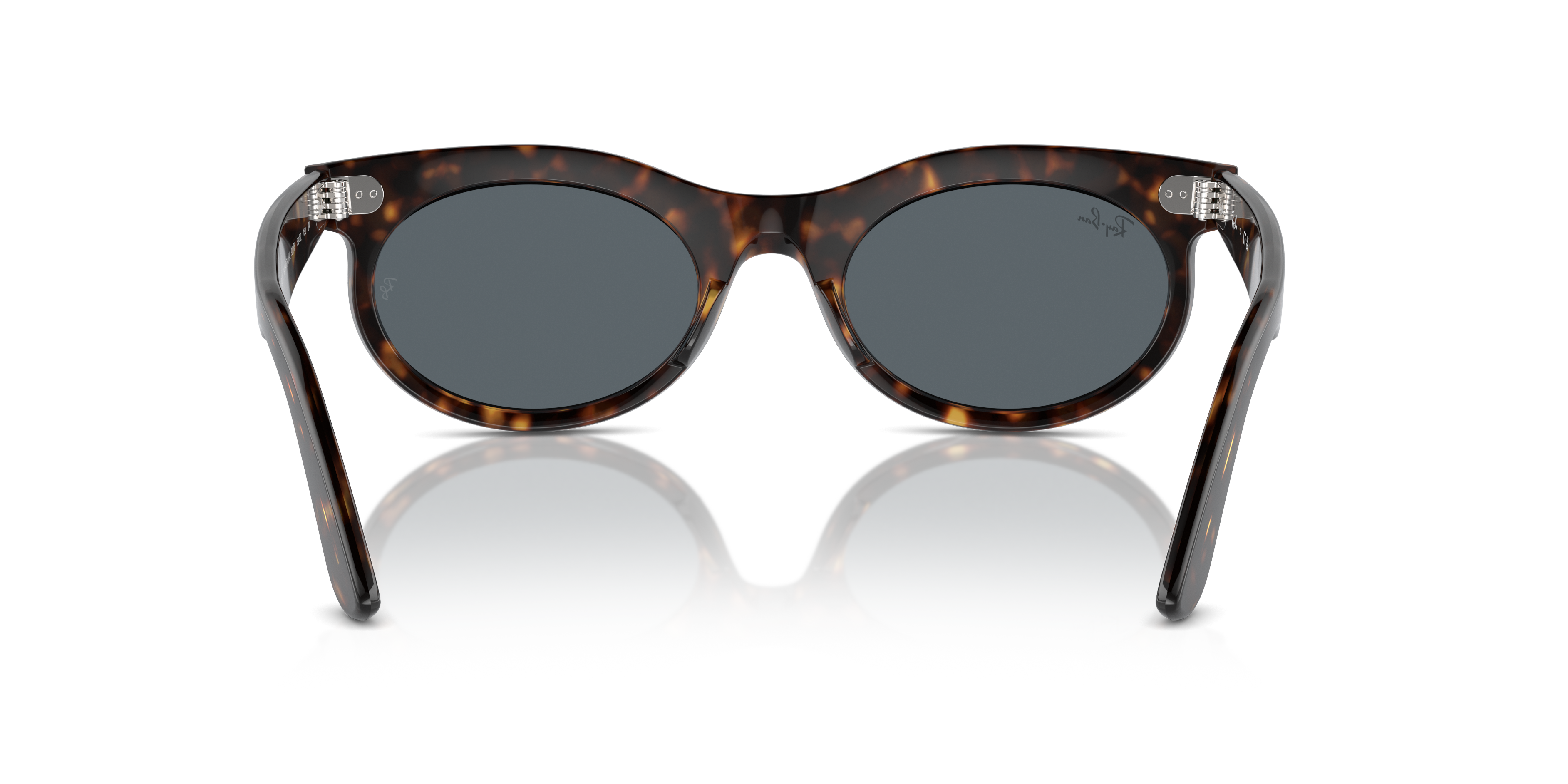 RB2242 Wayfarer Oval