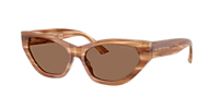 Jimmy Choo JC5022B M (55 - 16) with Grey lenses and Black frame