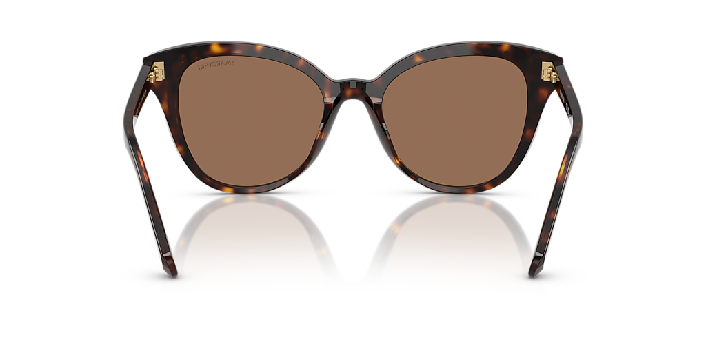 Swarovski SK6031 L (53 - 19) with Brown lenses and Brown frame