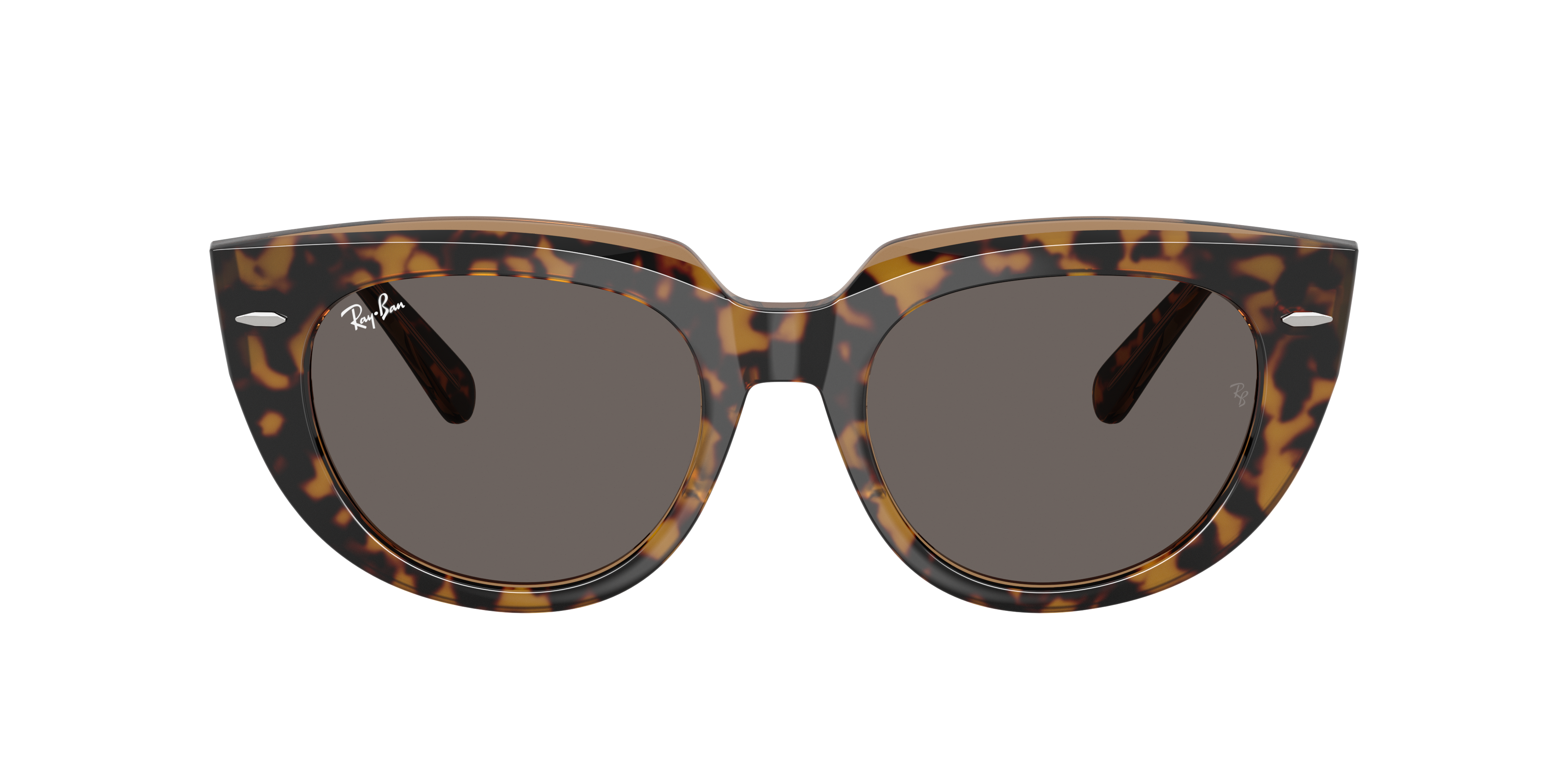 Ray Ban Ray In Dark Grey
