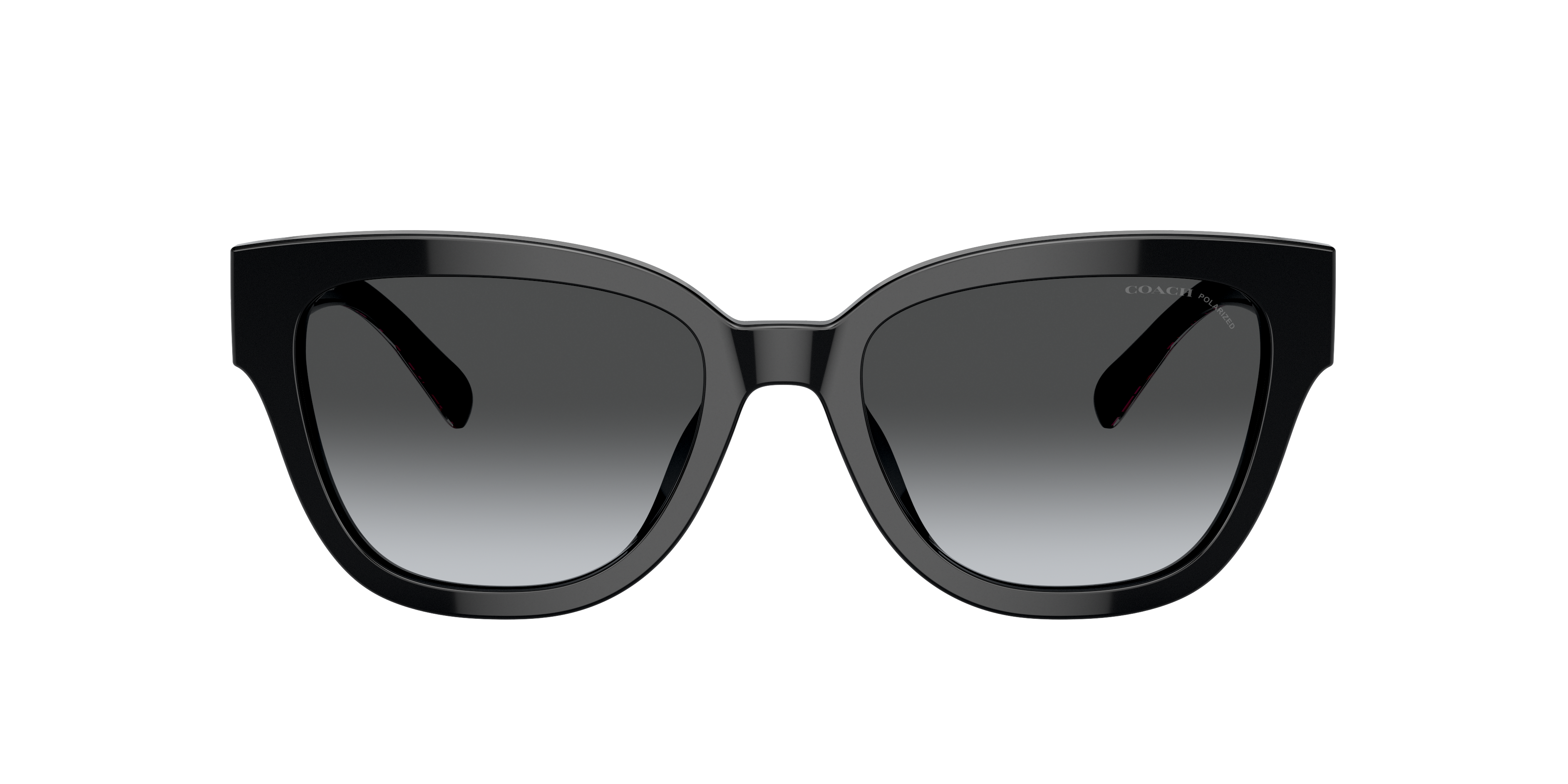 限定版 - (54 M CL920 HC8379U Coach 19) Black and lenses Grey with 靴