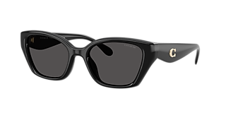 COACH HC8429D Black Women\'s Sunglasses 56mm 18mm 145mm Coach HC 8429D Plastic Womens Square Sunglasses Black 56mm  main image 2