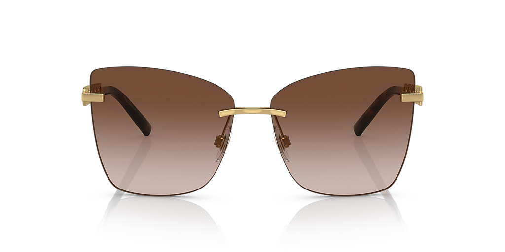 Dolce&Gabbana DG2289 L (59 - 14) with Brown lenses and Gold