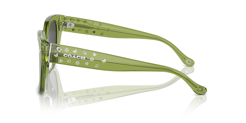 Coach HC8392U CR611 L (53 - 20) with Grey lenses and Green