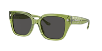 Coach HC8392U CR611 L (53 - 20) with Grey lenses and Green
