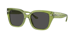 Coach HC7171 CW226 XXL (56 - 21) with Grey lenses and Black