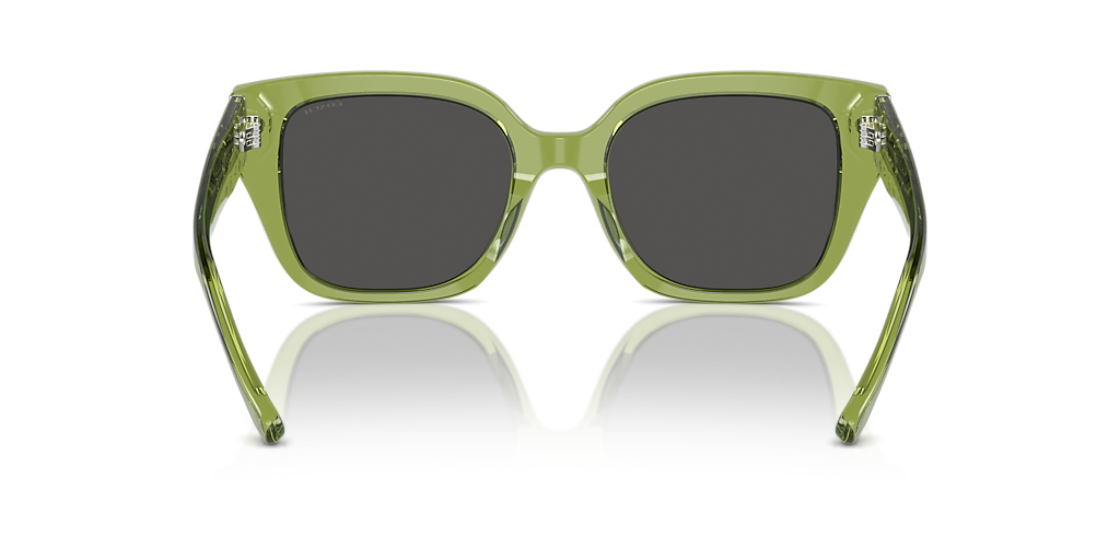 Coach HC8392U CR611 L (53 - 20) with Grey lenses and Green