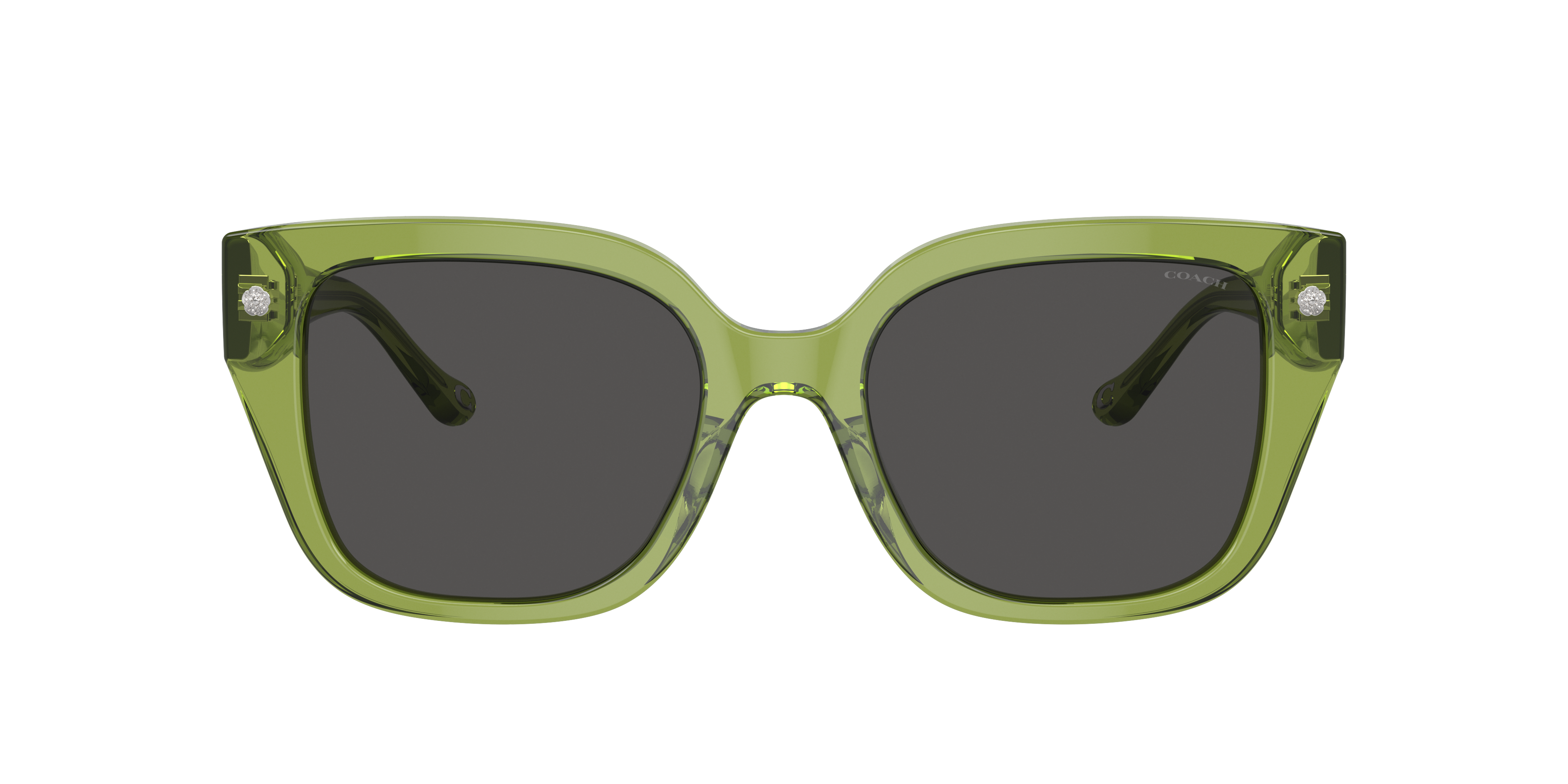 Coach HC8392U CR611 L (53 - 20) with Grey lenses and Green frame