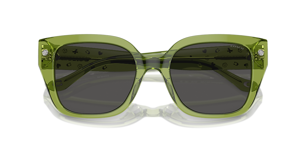 【送料,関税込】 COACH サングラス CR611 HC8392U Coach HC8392U CR611 L (53 - 20) with Grey lenses and Green