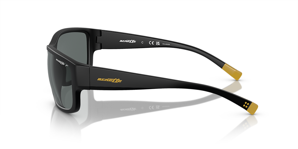 ARNETTE AN4256 Bushwick Matte Black - Unisex Sunglasses, Polarized Dark Grey Lens