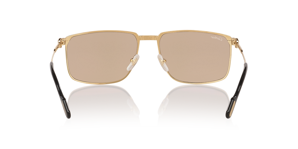 Cartier CT0534S XL (59 - 17) with Brown lenses and Gold  display picture 3