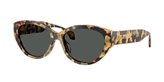 Versace VE4396 XL (58 - 16) with Brown lenses and Tortoise  display picture 1