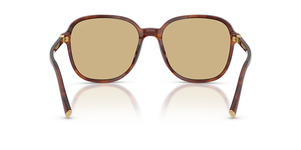 Miu Miu MU B01S L (58 - 18) with Yellow lenses and Brown