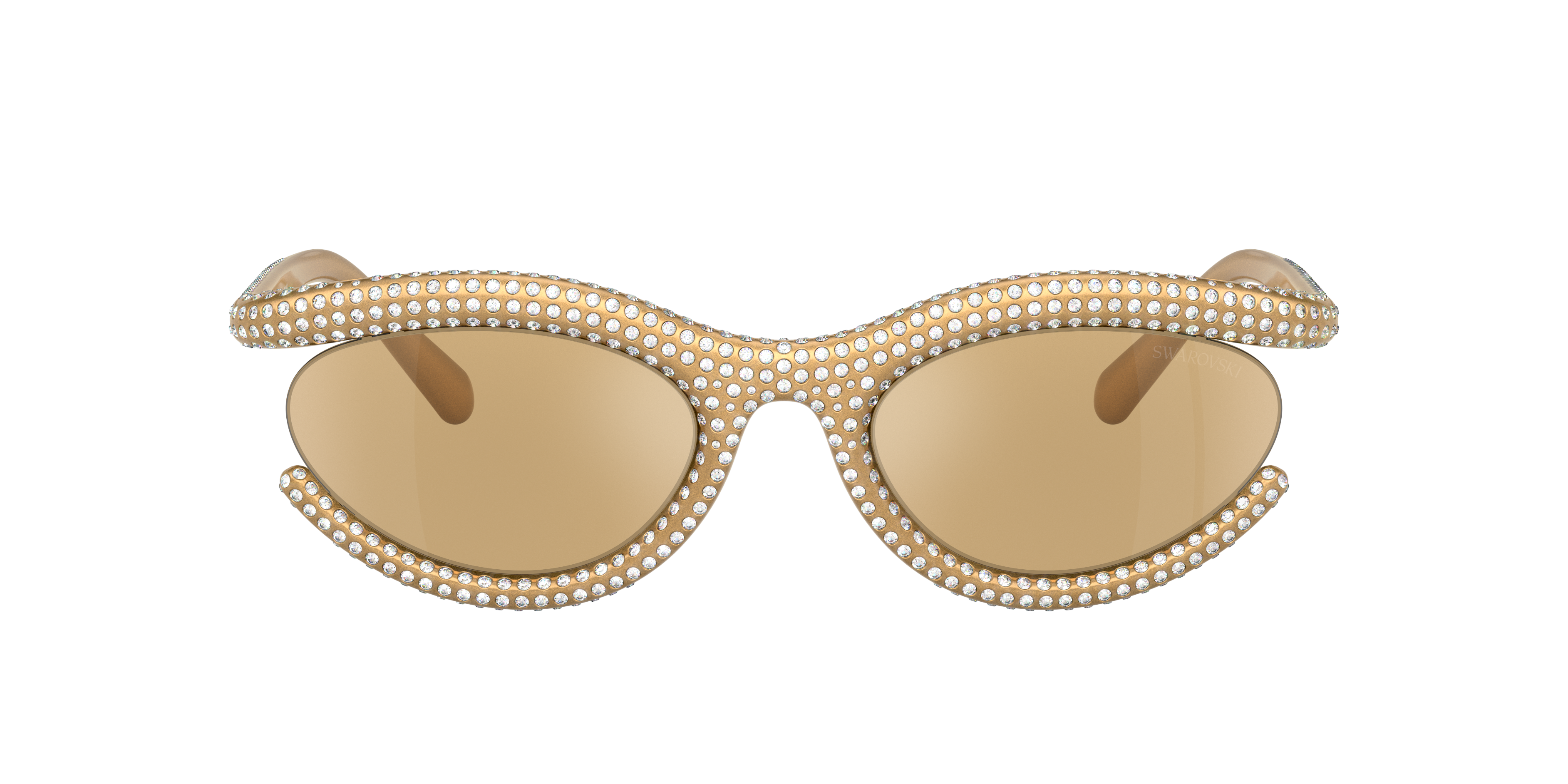 スワロフスキー　5cm Z5i+ 5-25x56 P L Plex-I - SWAROVSKI OPTIK