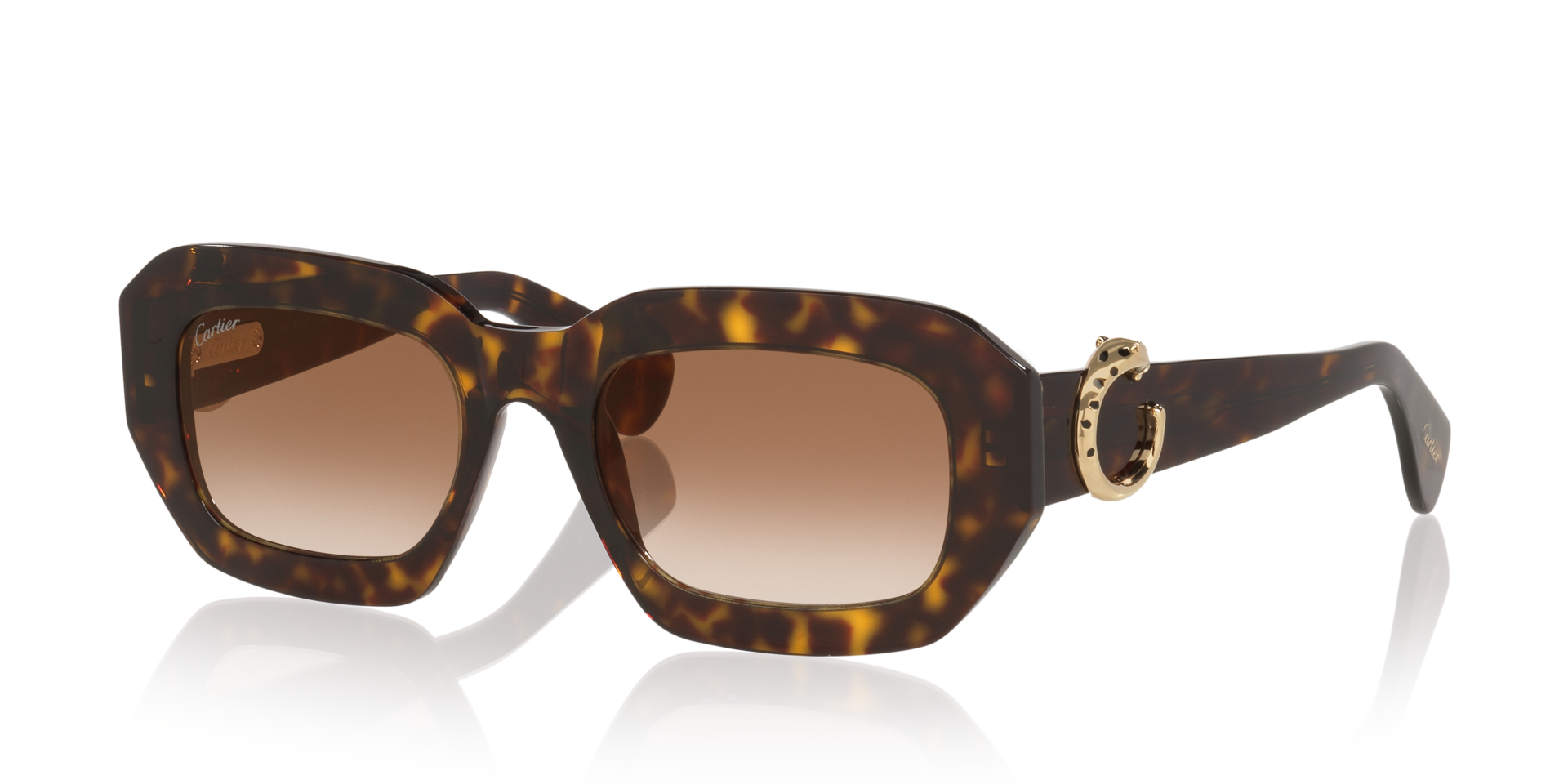 Cartier CT0546S-005 Sunglasses Havana Brown Acetate Cartier CT0546S 005 Sunglasses Brown Havana Brown - eye-oo.com main image 2