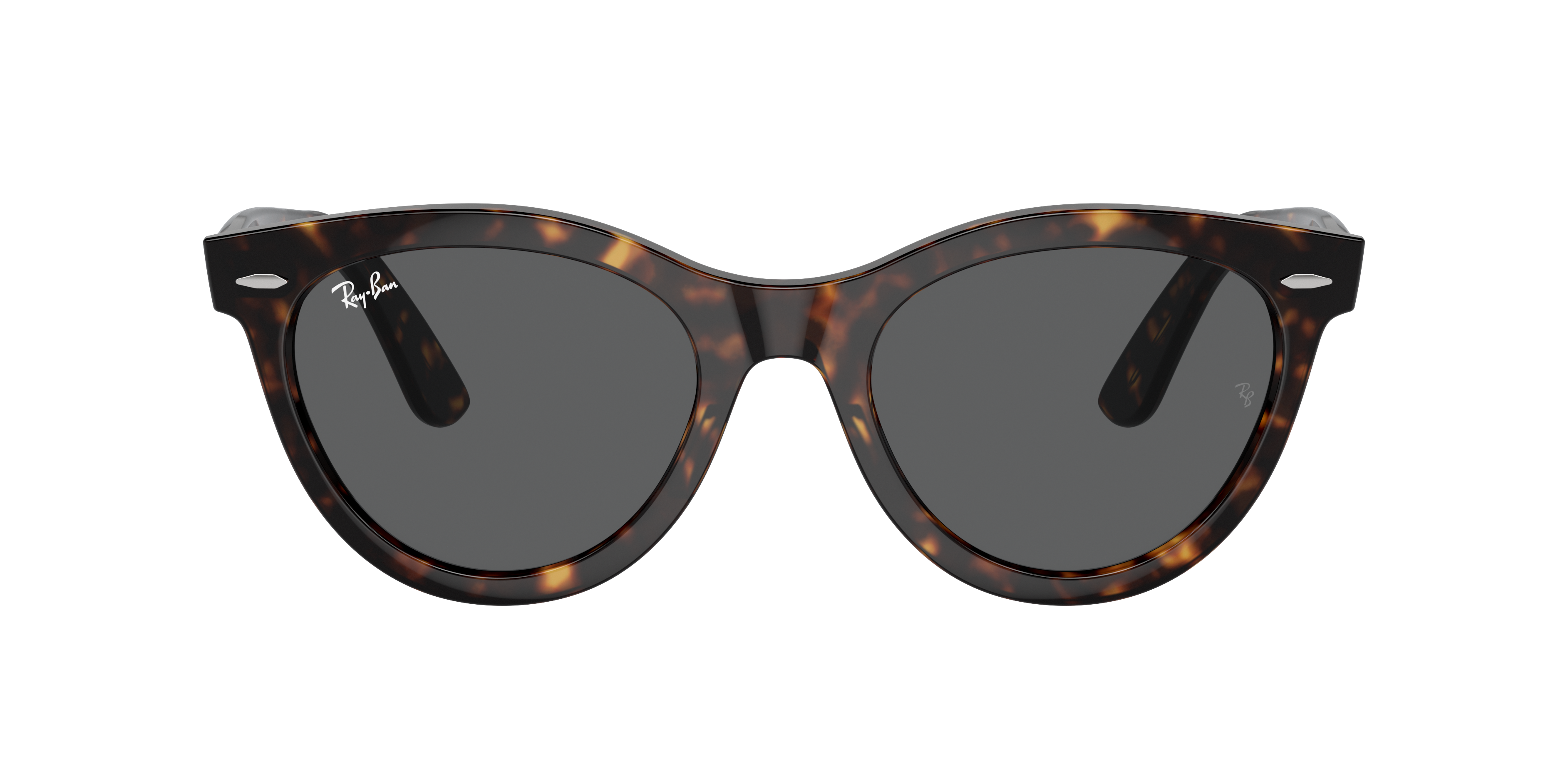 Ray Ban Ray In Brown