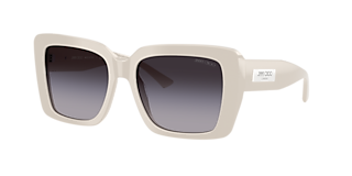 Jimmy Choo JC5014 M (54 - 17) with Brown lenses and Brown