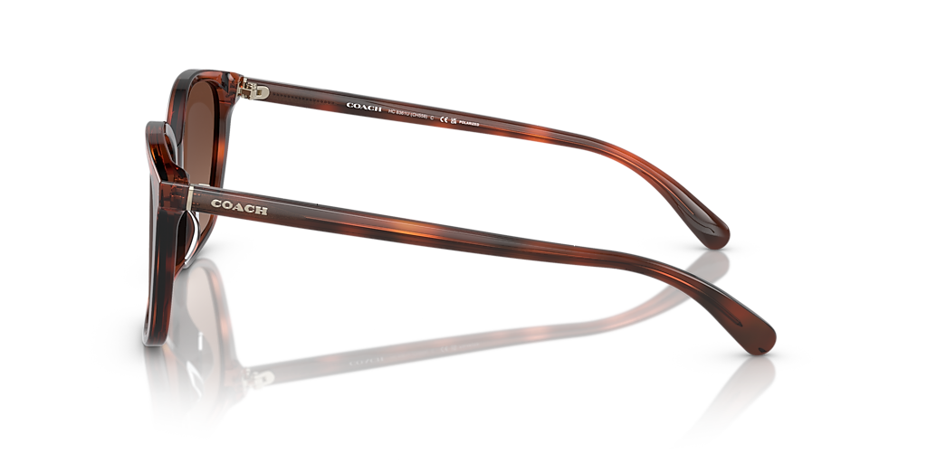 Coach CH558 M (57 - 16) with Brown lenses and Tortoise frame
