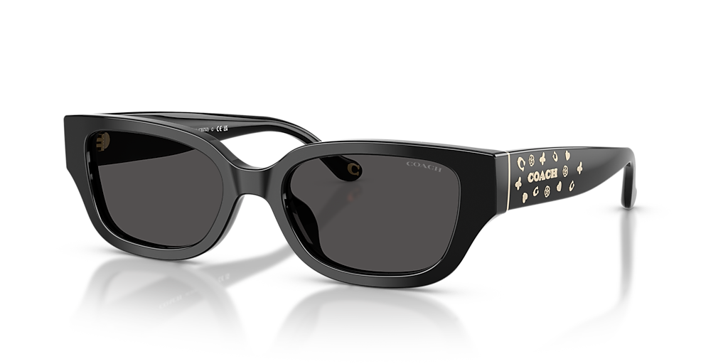 Coach HC8439U CBZ52 M (53 - 19) with Grey lenses and Black frame