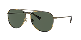 Coach HC7165D CR638 XXL (60 - 17) with Grey lenses and Gold frame