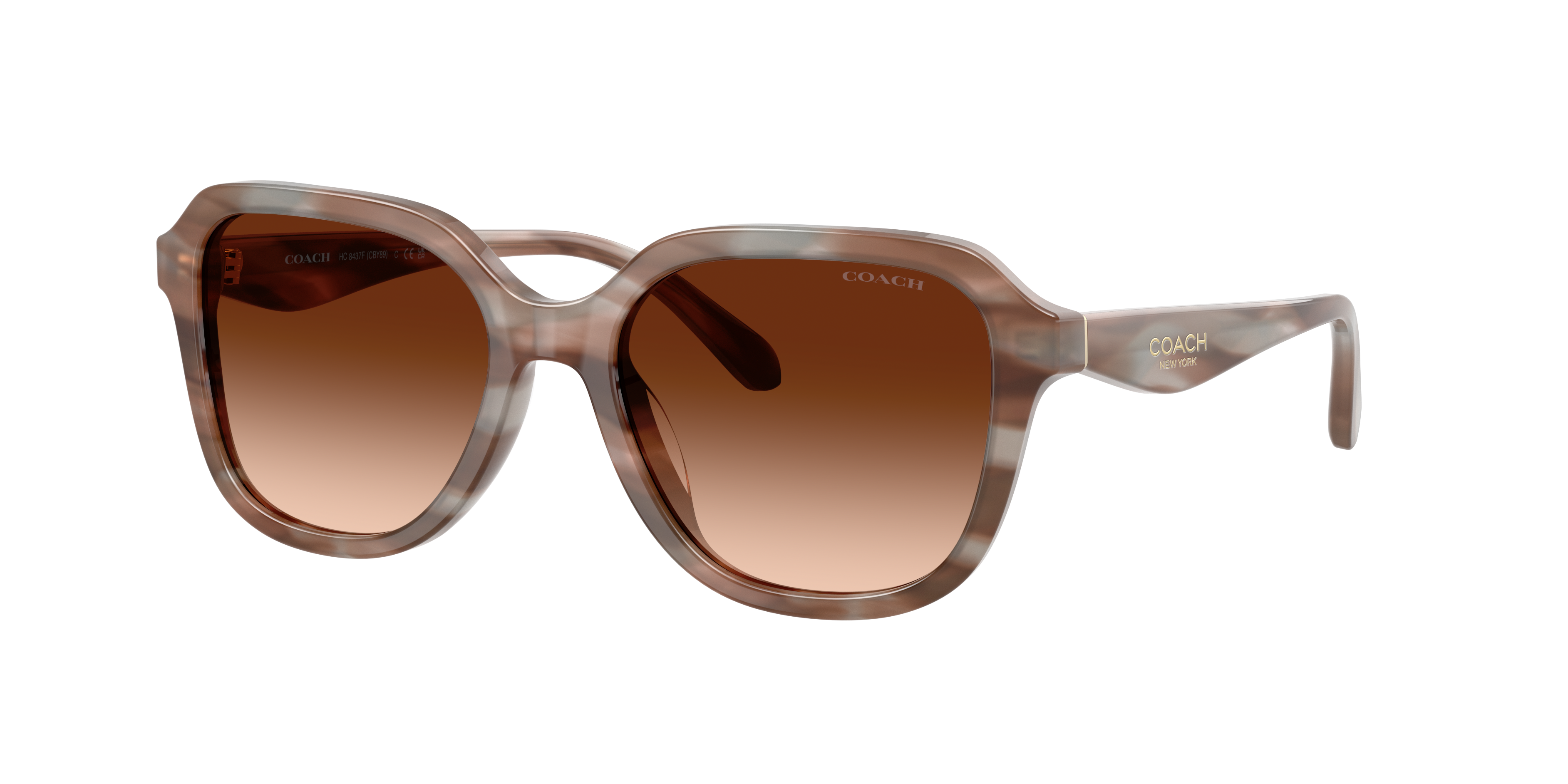 Coach HC8437F CBY89 L (56 - 17) with Brown lenses and Brown frame