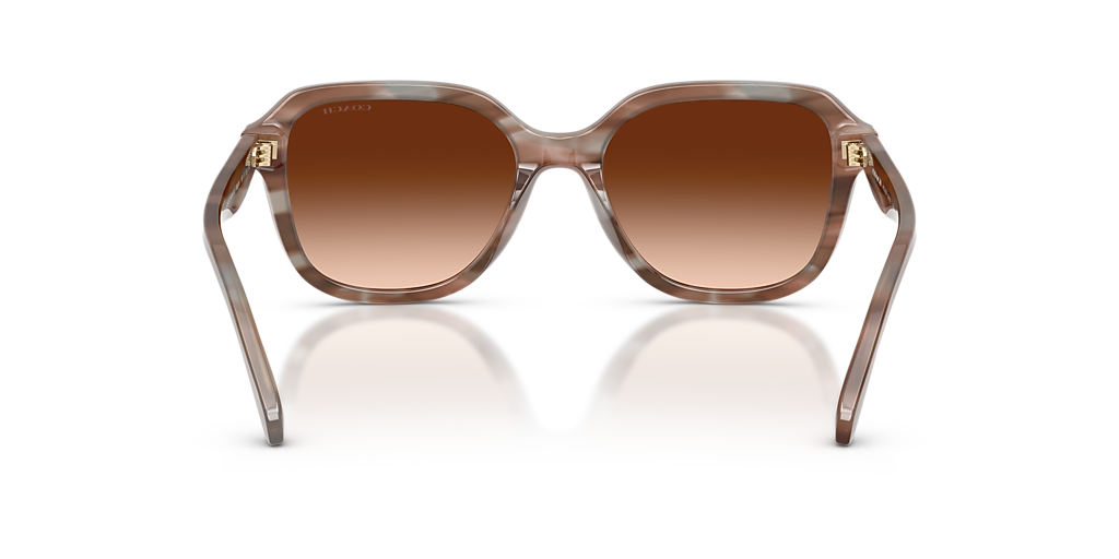 Coach Rectangular Sunglasses in Cream Frame with Brown Lenses Coach HC8437F CBY89 L (56 - 17) with Brown lenses and Brown  main image 2