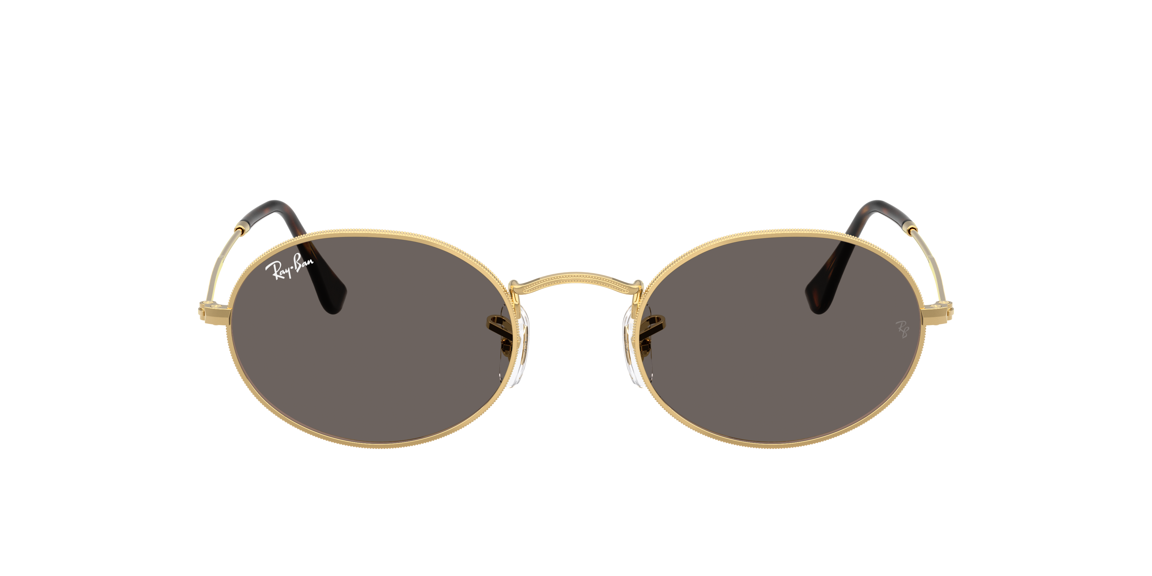 Ray Ban Ray In Dark Grey