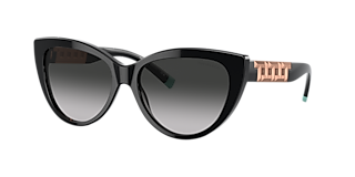 Tiffany & Co. TF4105HB S (55 - 17) with Blue lenses and