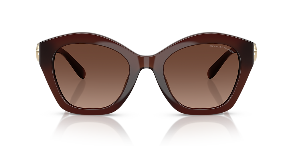 Coach HC8421U CAD31 L (54 - 22) with Brown lenses and Brown frame
