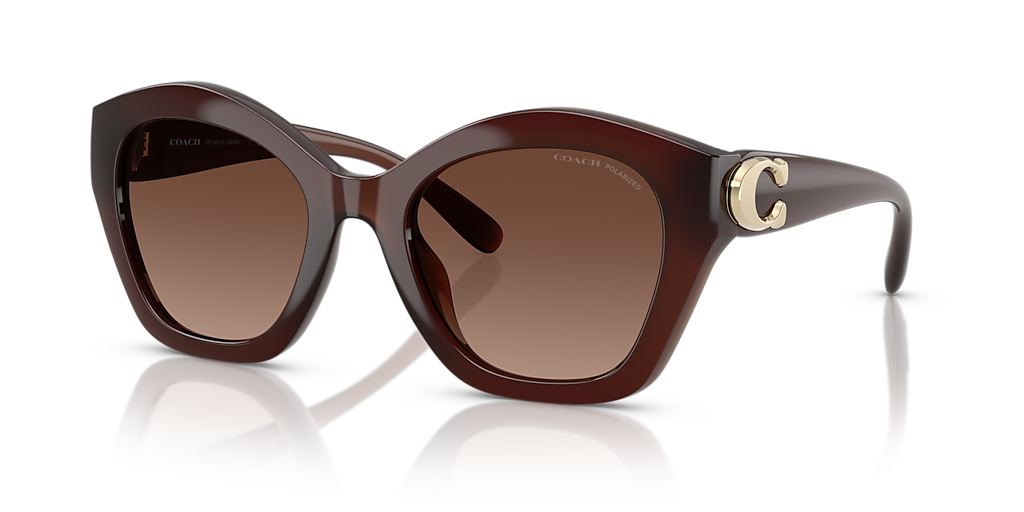 Coach HC8421U CAD31 L (54 - 22) with Brown lenses and Brown frame