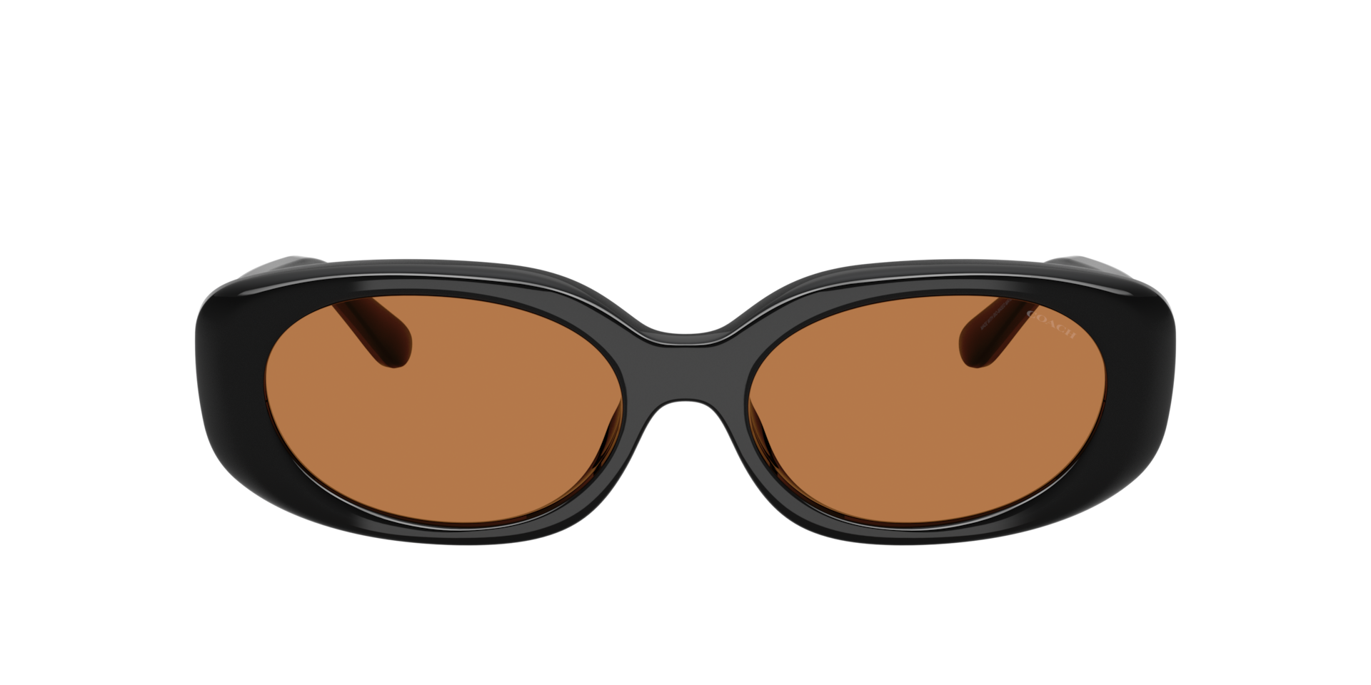 Coach CBY84 M (54 - 17) with Brown lenses and Black frame 