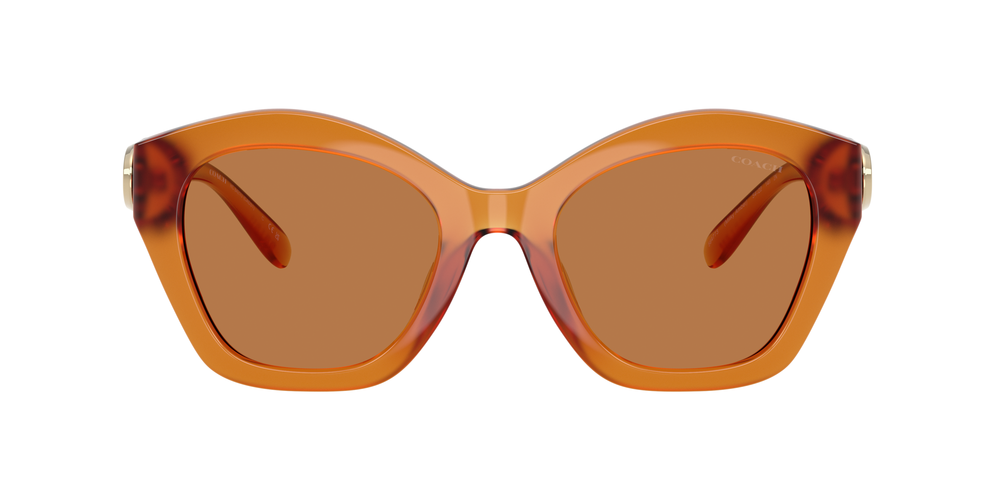 Coach Woman Sunglass Hc8421u Cad31 In Brown