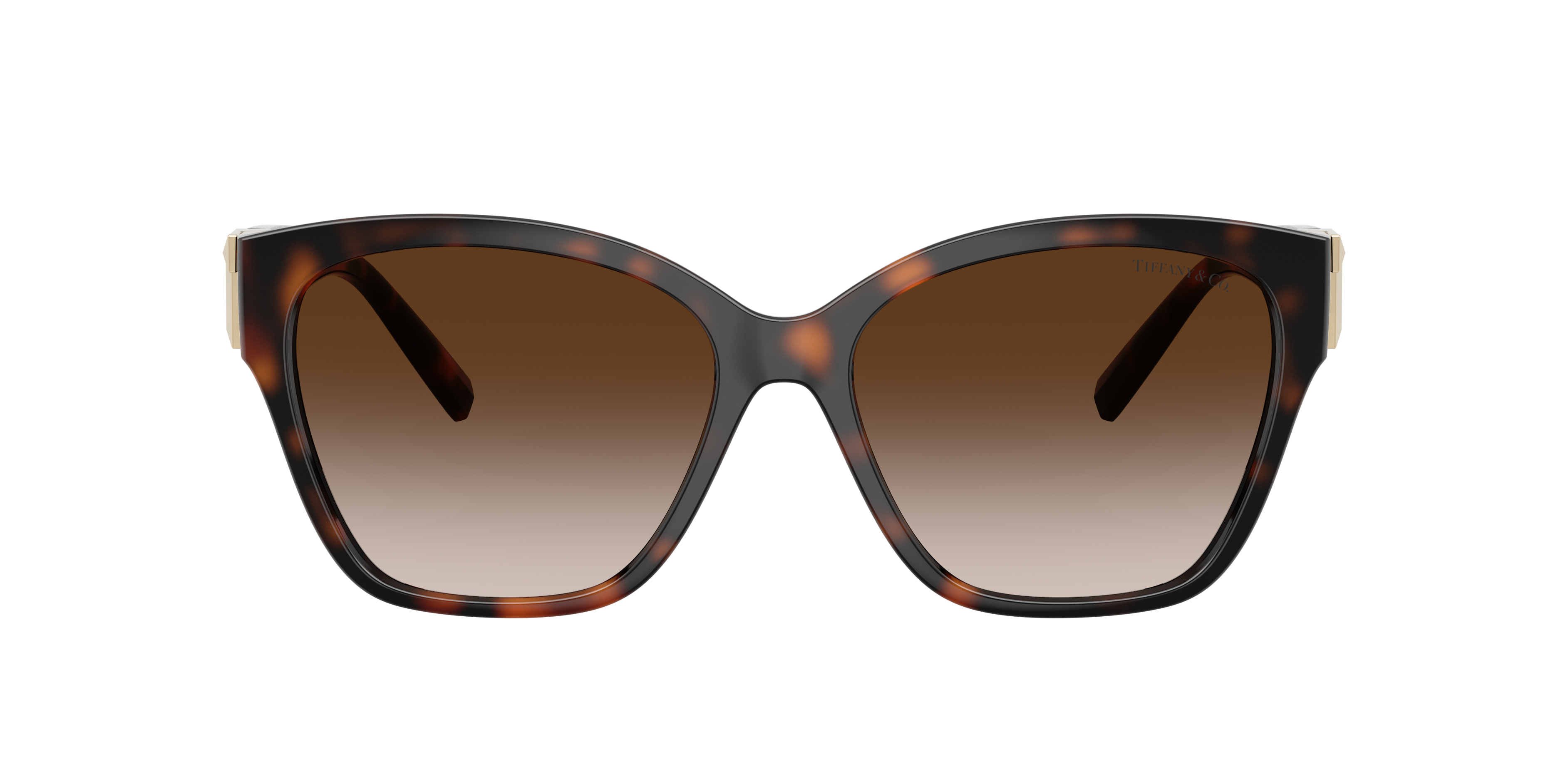 Tiffany & Co. TF4254U XL (56 - 16) with Brown lenses and Tortoise