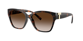 Tiffany & Co. TF4243D XL (55 - 19) with Brown lenses and Brown