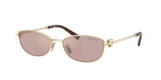 Tiffany & Co. TF4187 XL (55 - 18) with Grey lenses and Grey  display picture 2