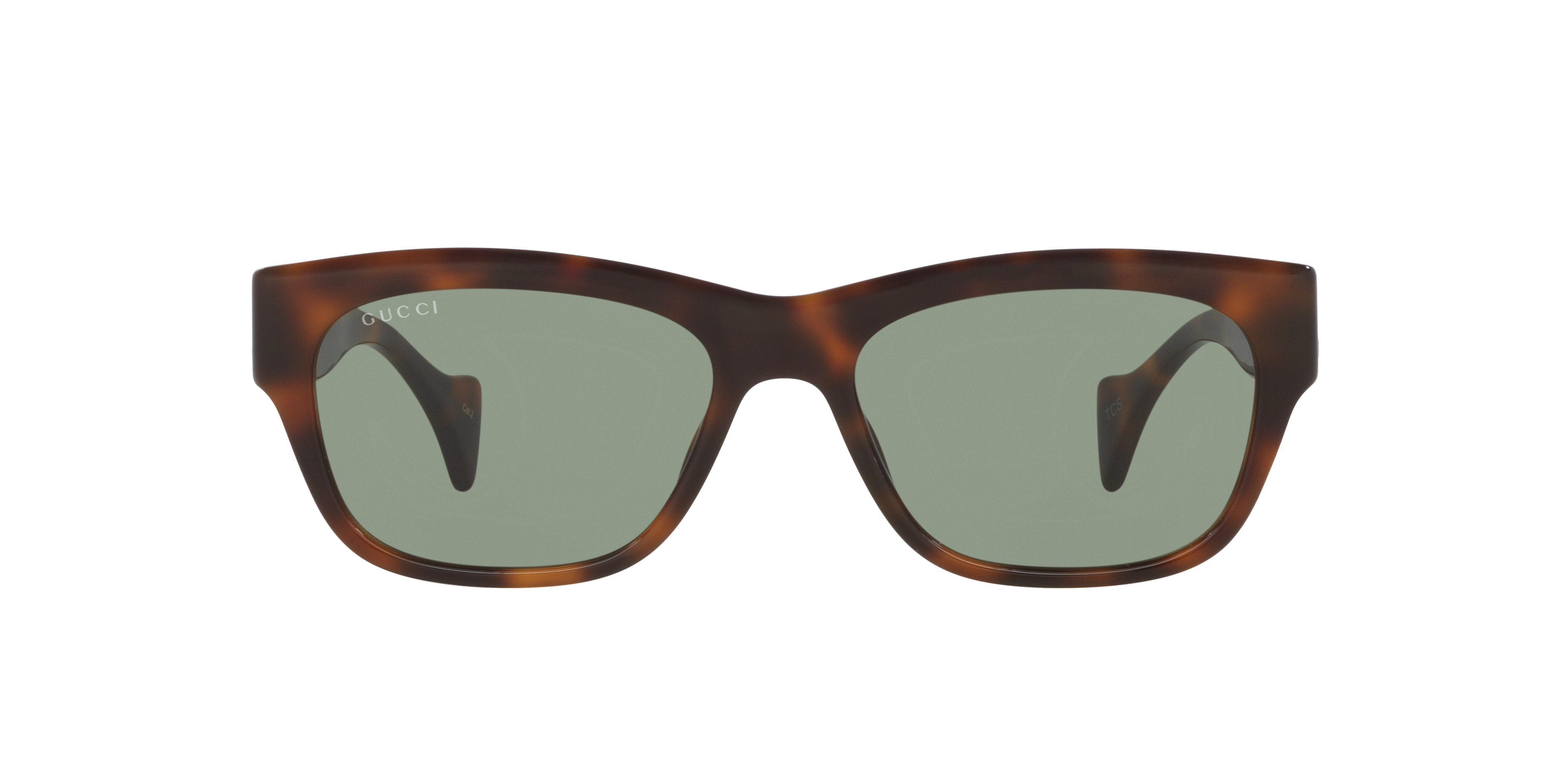 Gucci GG1706S M (55 - 18) with Green lenses and Tortoise frame