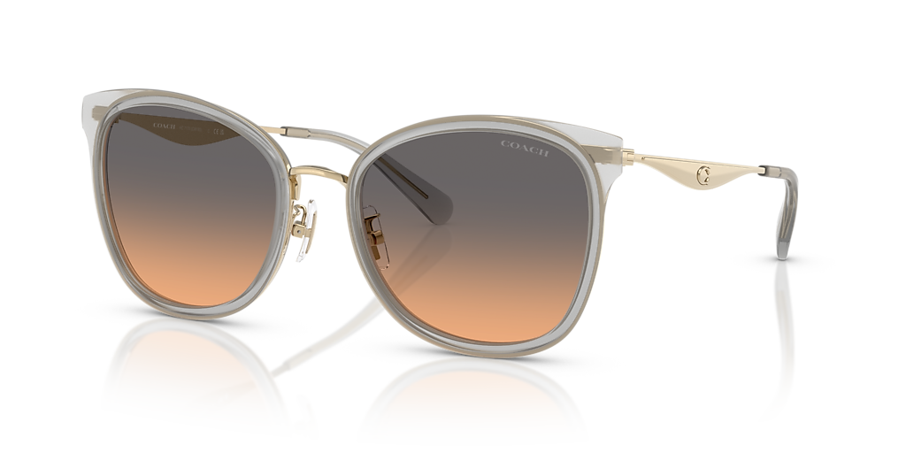 Coach HC7170 CW185 XL (56 - 20) with Green lenses and Grey frame