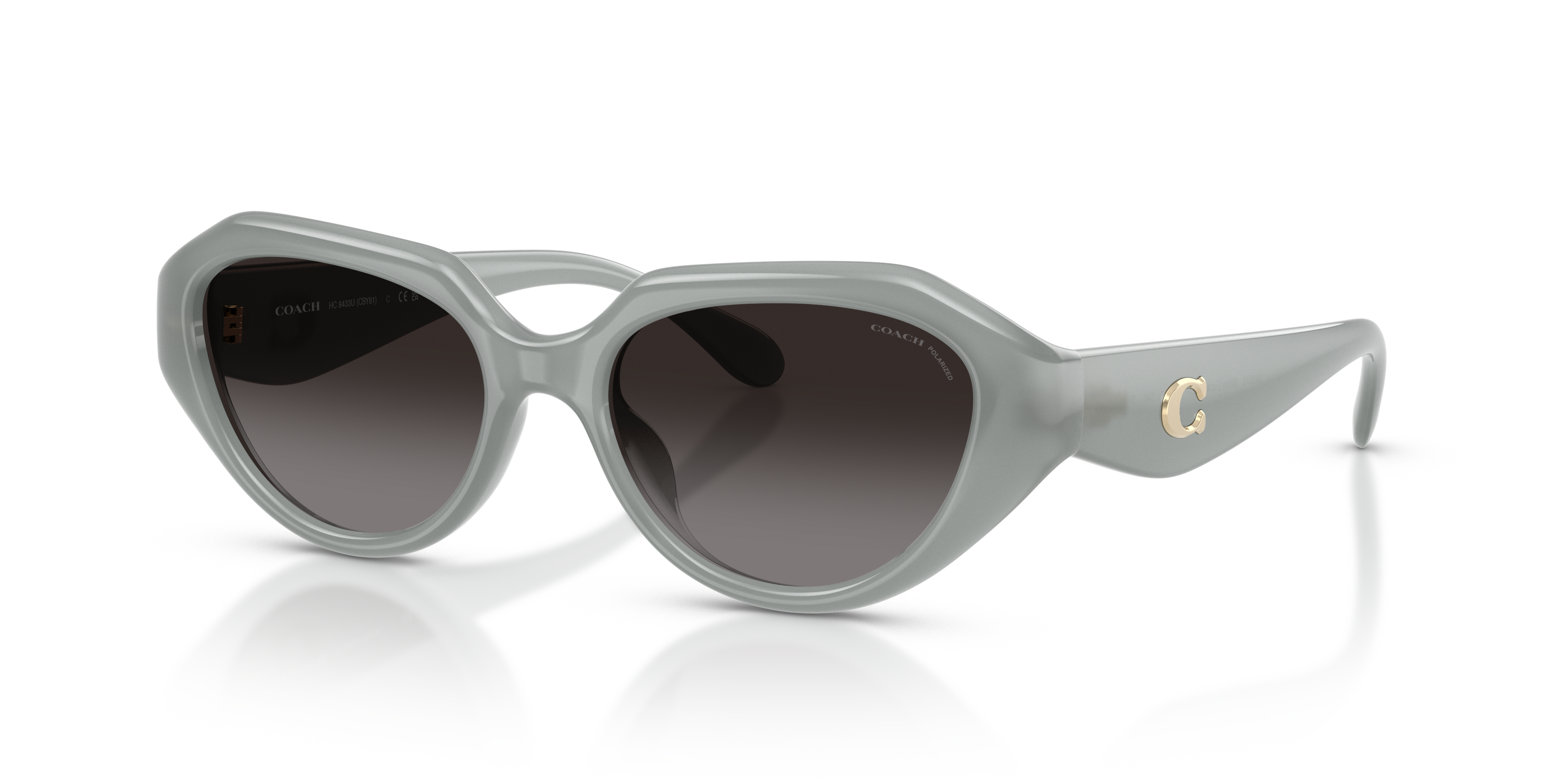 Coach HC8433U CBY77 M (52 - 17) with Grey lenses and Green frame