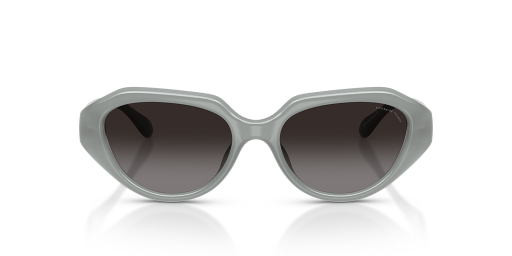 Coach HC8433U CBY77 M (52 - 17) with Grey lenses and Green  display picture 2