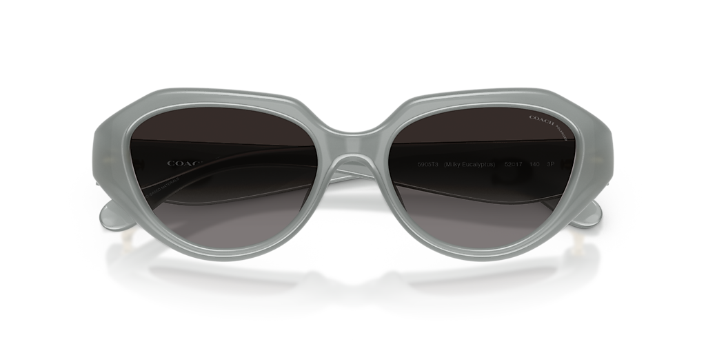 Coach Seafoam/Silver Celia Women\'s Sunglasses Coach Gray Sunglasses for Women on Sale up to 90% Off: Poshmark main image 4