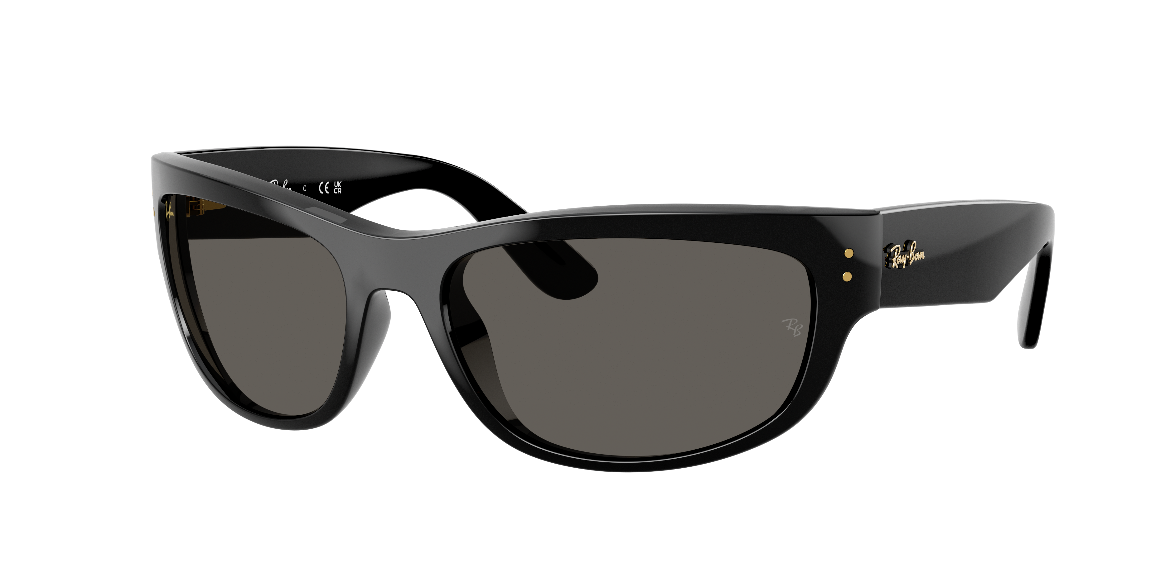 Ray Ban Ray In Dark Grey