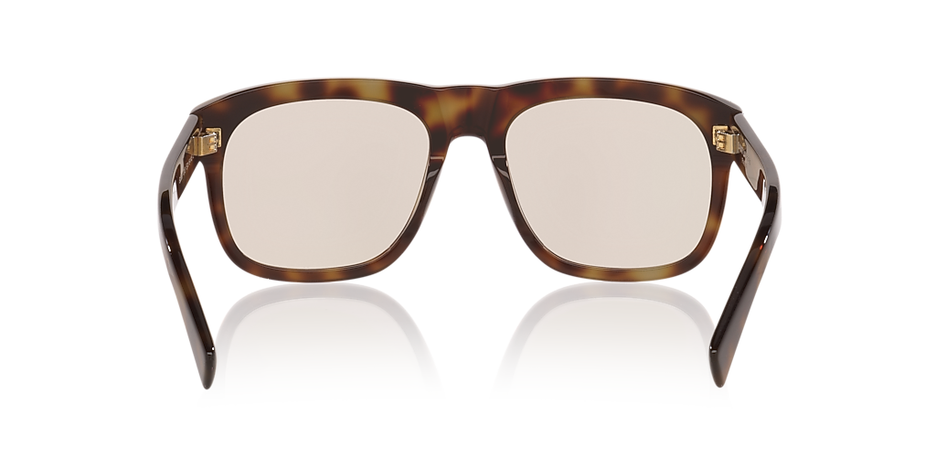 Saint Laurent SL 558 L (57 - 19) with Brown lenses and