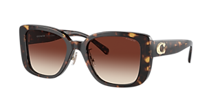 Coach HC8394U CR613 51 Wine & Transparent Brown Sunglasses 