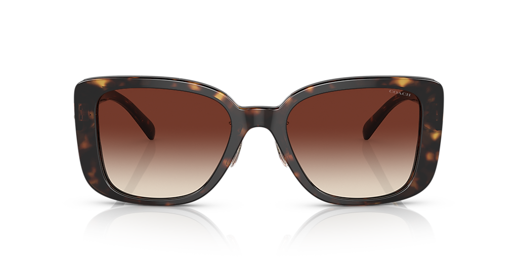 Coach HC8352 CD472 L (54 - 20) with Brown lenses and Tortoise