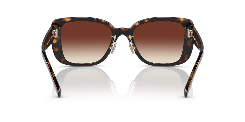 Coach HC8352 CD472 L (54 - 20) with Brown lenses and