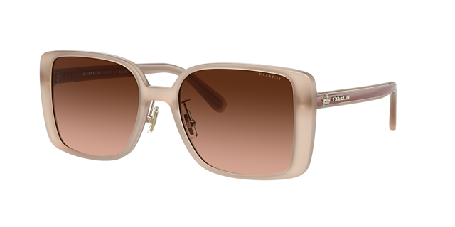 Coach HC8375 CH562 56 Grey Gradient & Black Sunglasses | Sunglass 