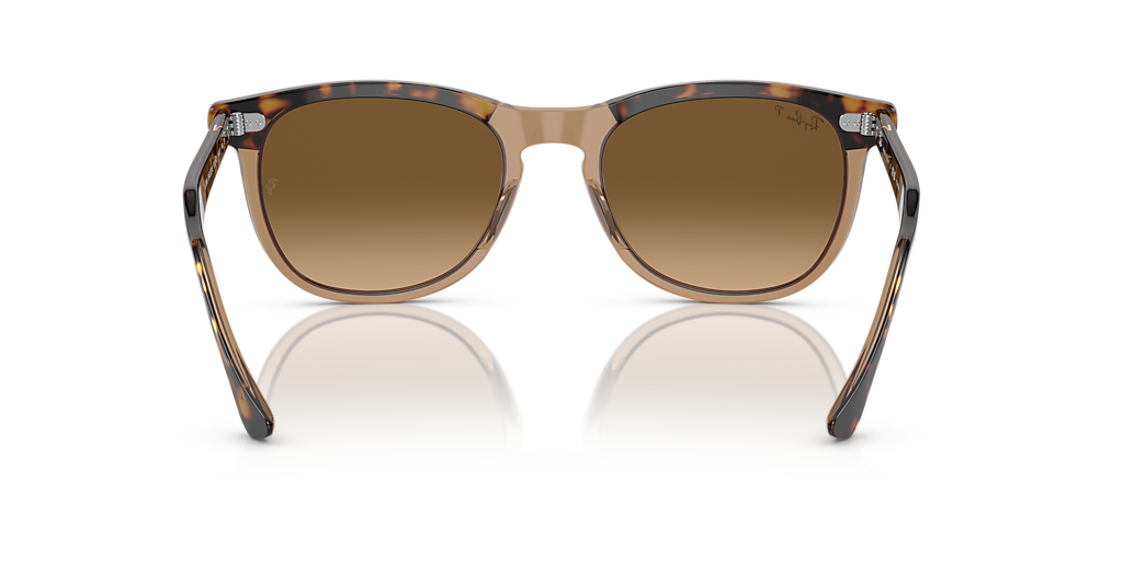TaylorMade - ReyBan Ray-Ban RB2398 Eagle Eye L (53 - 21) with Brown lenses and